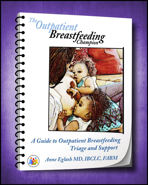 Breastfeeding Book