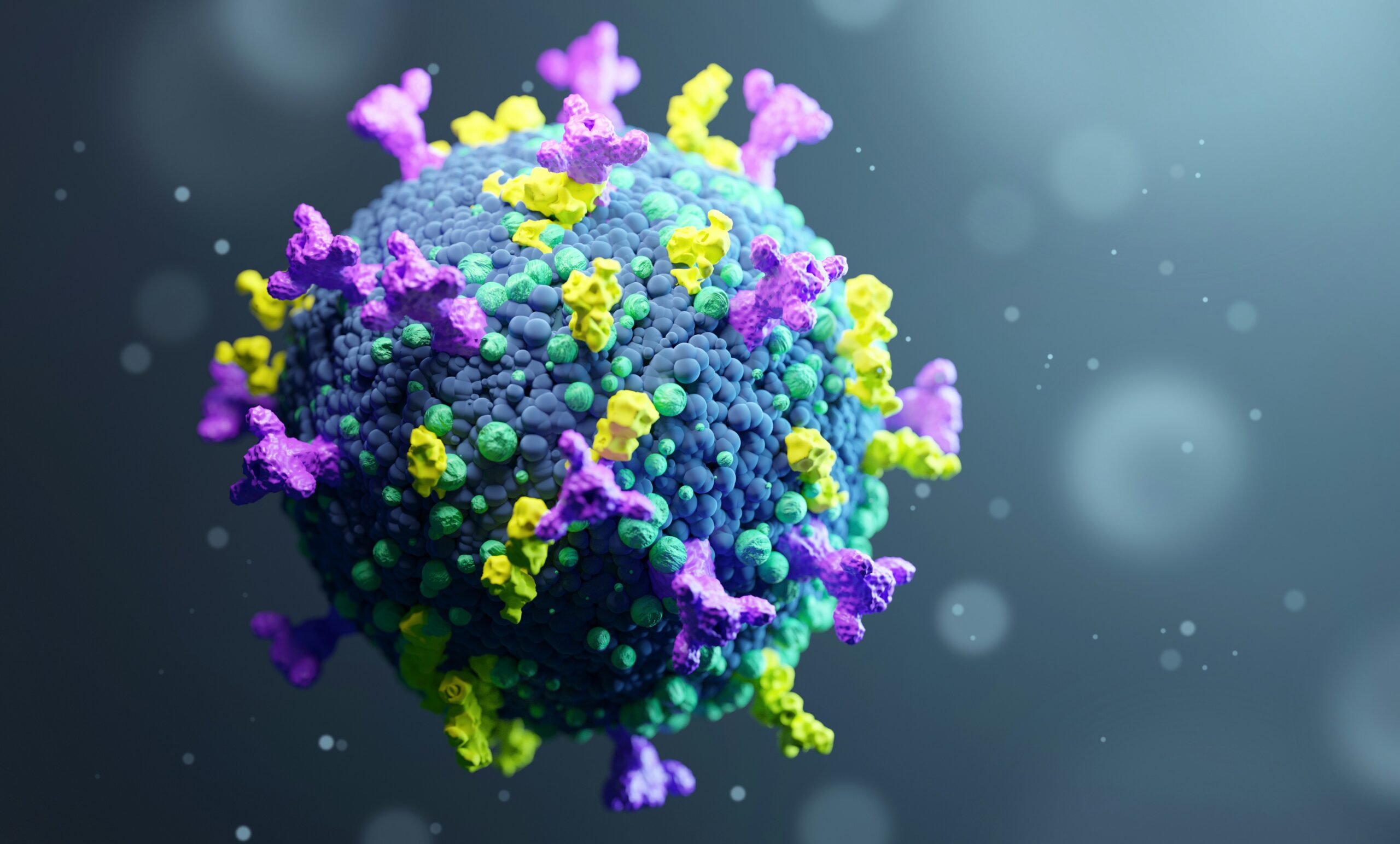 3D Illustration Immunology