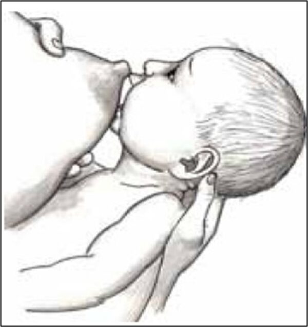 Infant Not Latching Positioning to Help Your Baby Latch Well - IABLE